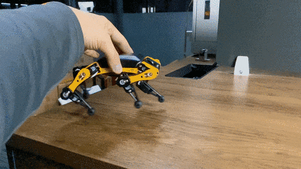Person's hand adjusts a small yellow hexapod robot on a wooden desk, in a workshop-like setting.