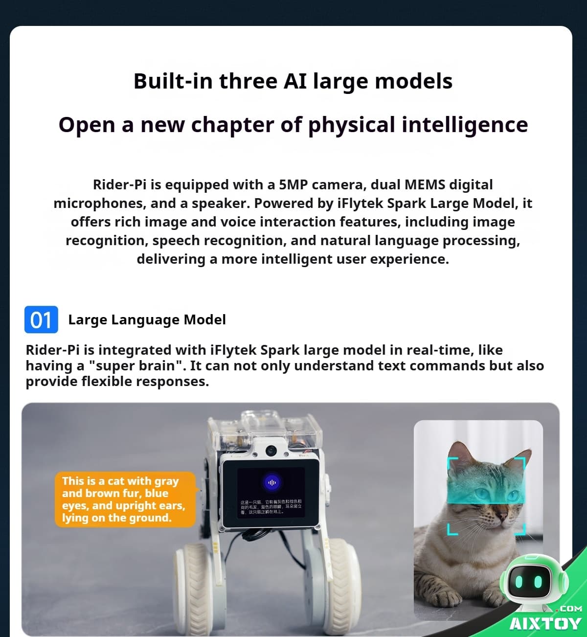 Promotional page for AI large models; left: a small robot on wheels, right: a cat with a facial-recognition frame.