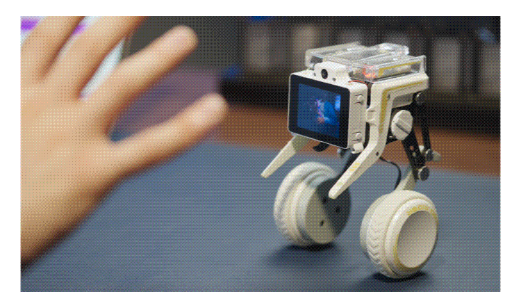 Small white wheeled robot with a screen on a blue table, as a hand reaches toward it.