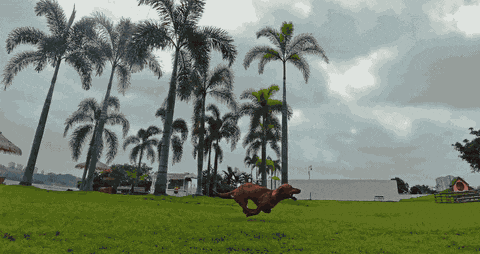 Beni camera robot official hero visual showing wheeled design and camera system