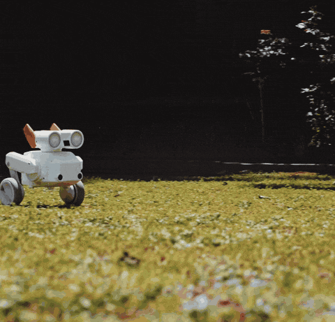 Beni camera robot auto-following skateboarder demonstrating cinematic tracking shots