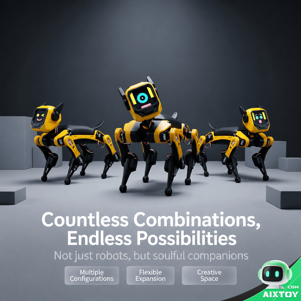 Petoi Bittle V2 robot dog open-source community AIXTOY