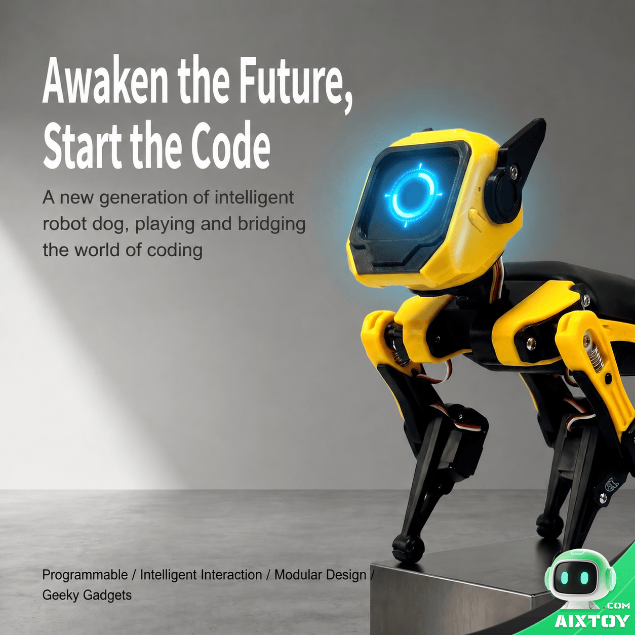 Petoi Bittle V2 robot dog mechanical structure AIXTOY