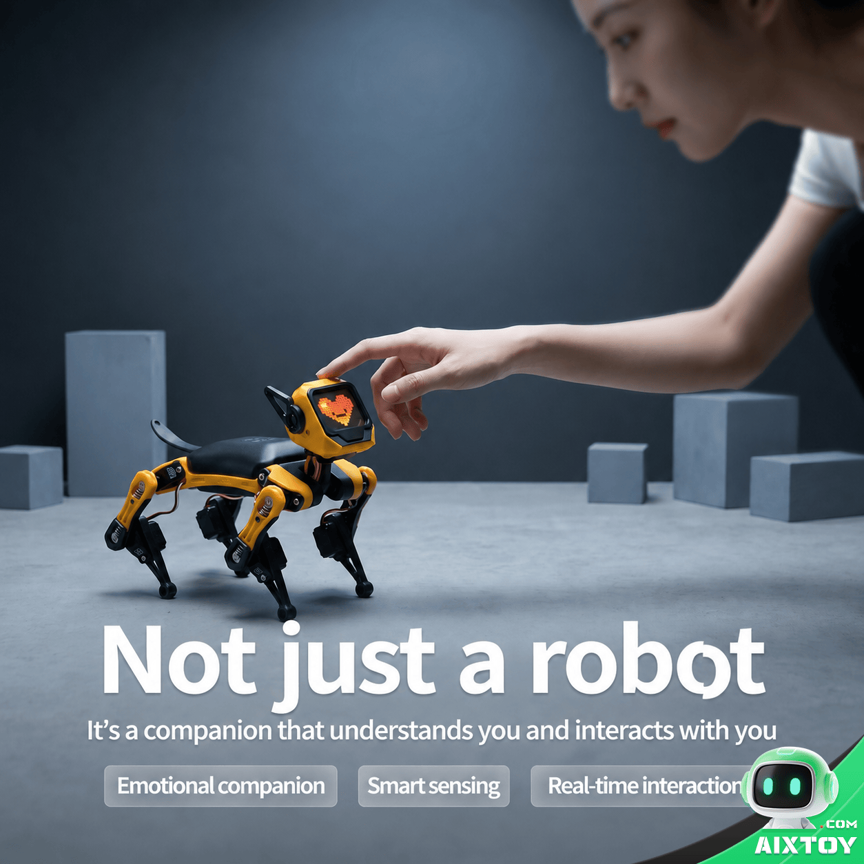 Petoi Bittle V2 robot dog assembly demonstration AIXTOY