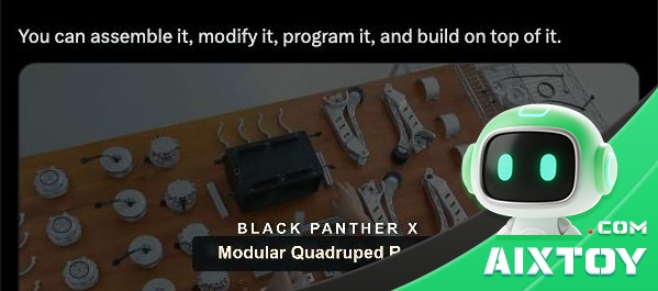 Black Panther X modular components and joint modules on a wooden workbench