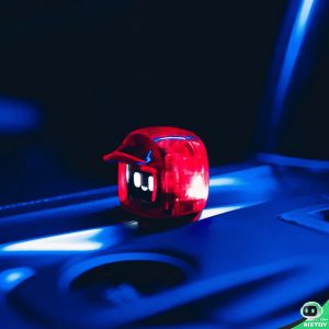 Gallery Thumb