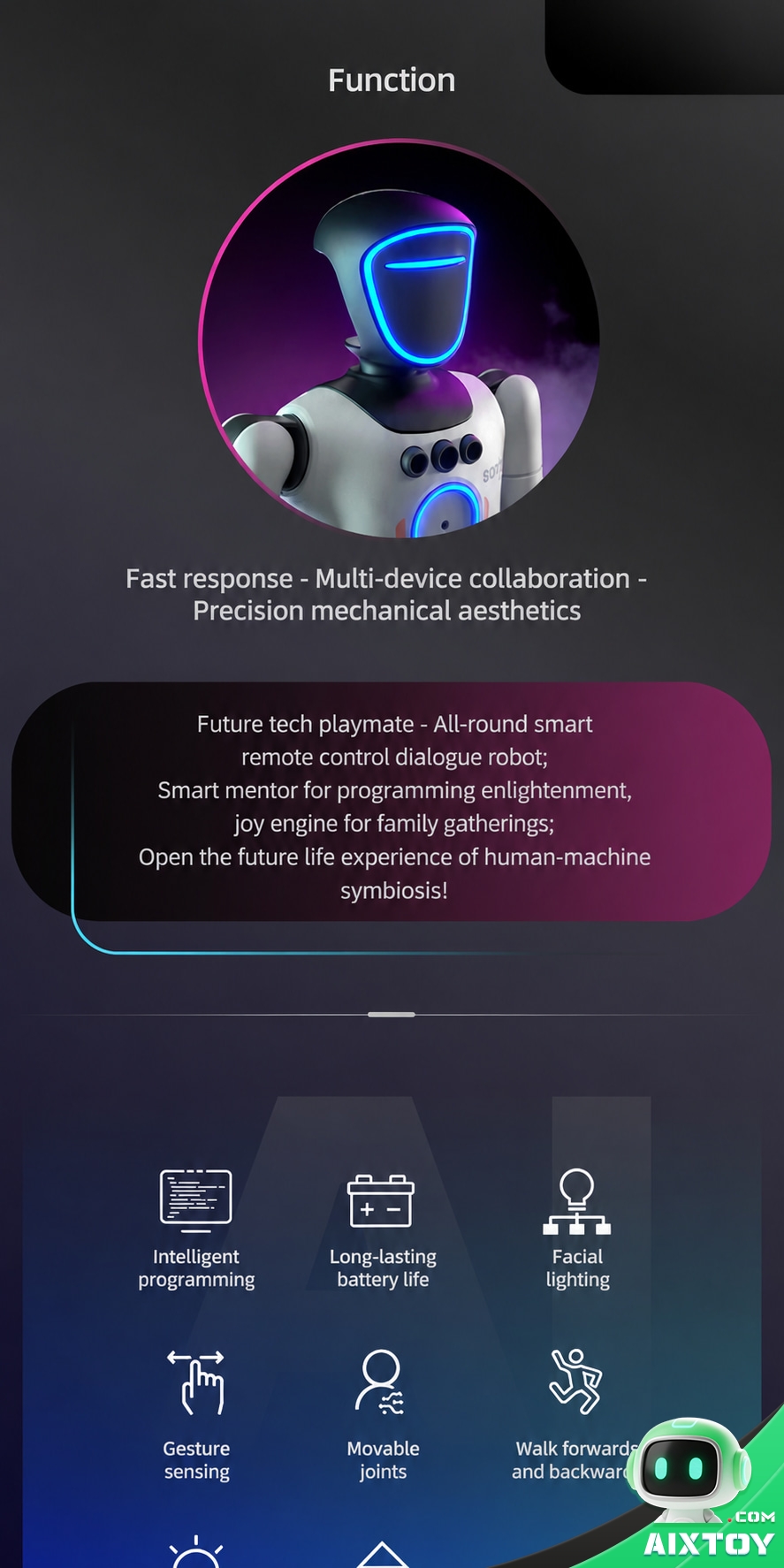 IQOEM AI Coding Education Robot - Programmable Humanoid Robot Toy for Kids IQOEM AI Coding Education Robot - Programmable Humanoid Robot Toy for Kids - feature detail