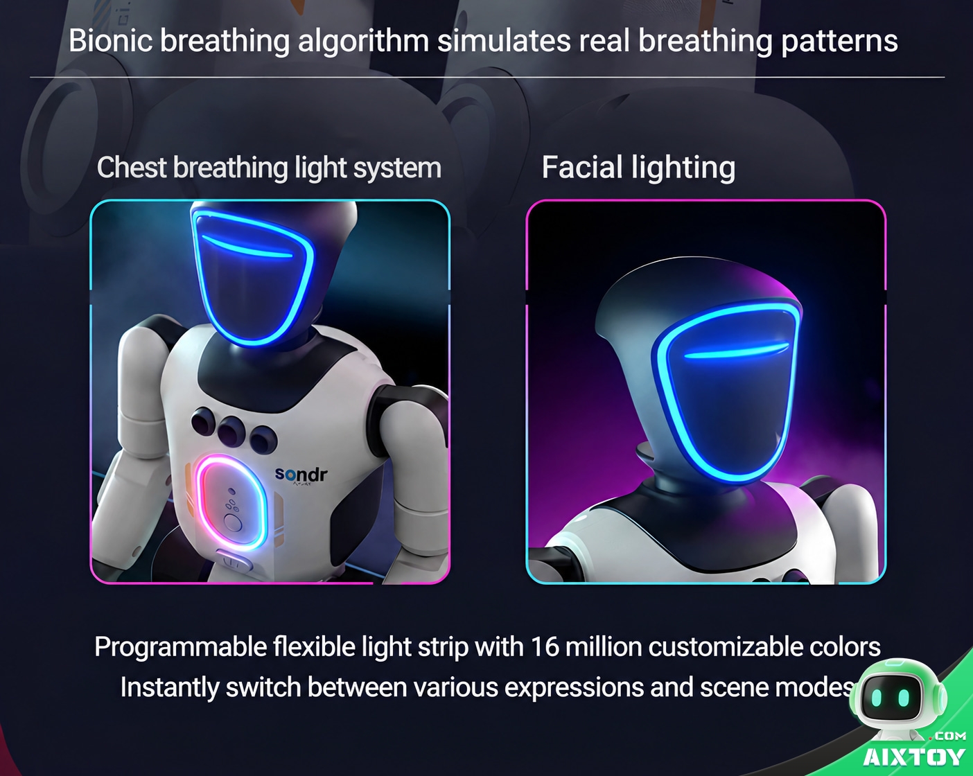 IQOEM AI Coding Education Robot - Programmable Humanoid Robot Toy for Kids IQOEM AI Coding Education Robot - Programmable Humanoid Robot Toy for Kids - feature detail