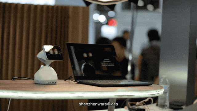 Loona Deskmate AI Desktop Companion