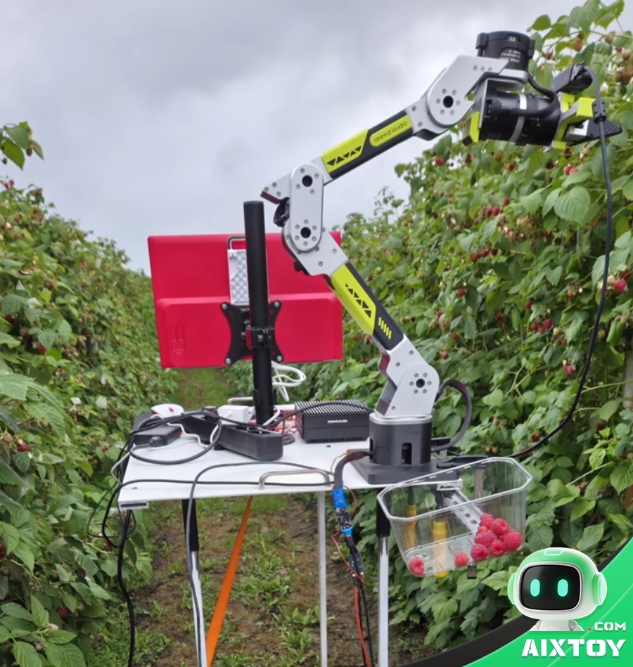 reBot DevArm vision grasping demo with YOLO and RGB-D