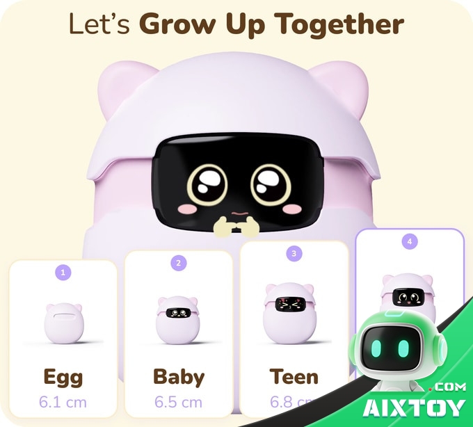 Sweekar growth stages: egg, baby, teen and adult sizes compared Sweekar growth stages: egg, baby, teen and adult sizes compared
