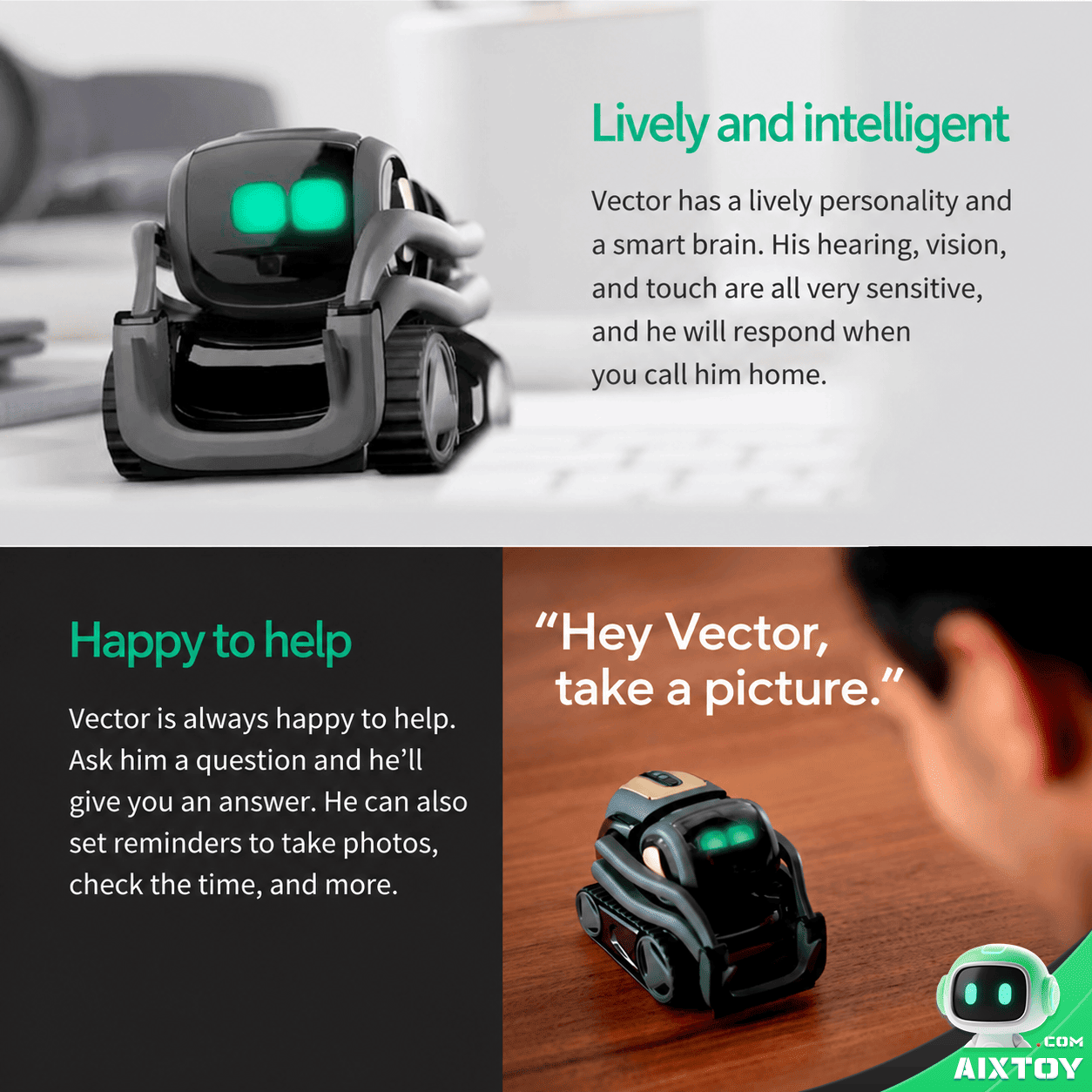 Vector 2.0 AI Robot - Programmable Interactive Smart Companion detail